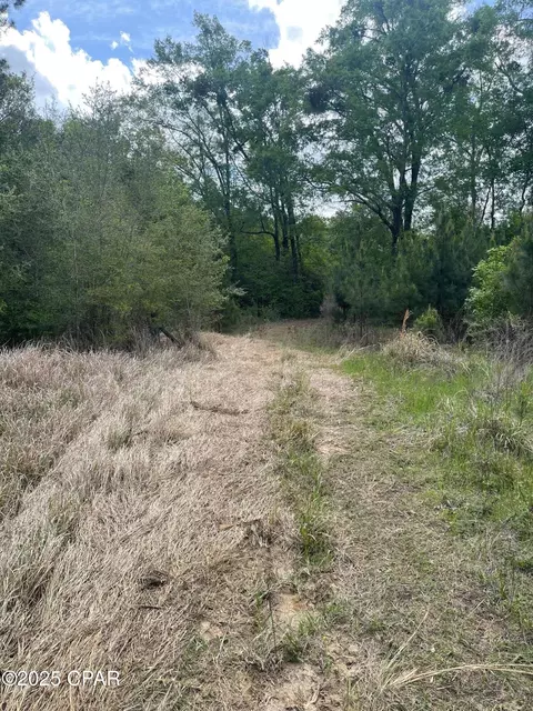 000 Lake Victor Rd, Westville, FL 32464