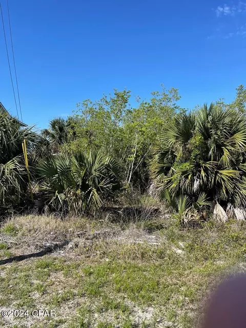 10 Americus Ave, Port St Joe, FL 32456