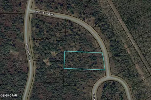 110 Bristle Cone Dr, Wewahitchka, FL 32465