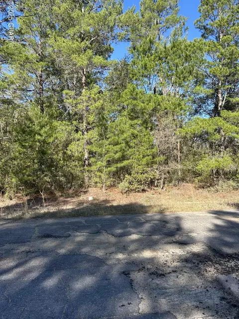 6 Pinehurst Ave #LOT 1, Chipley, FL 32428 photo 3
