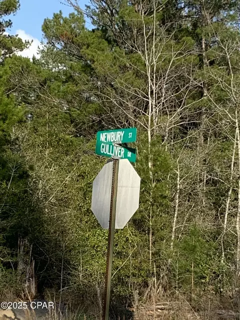 lot8 Gulliver Dr, Chipley, FL 32428