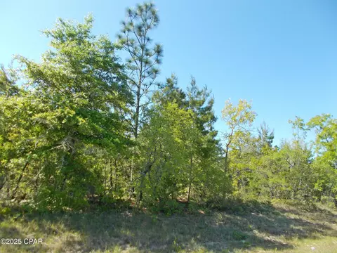lot9 Monticello Ave #8, Chipley, FL 32428