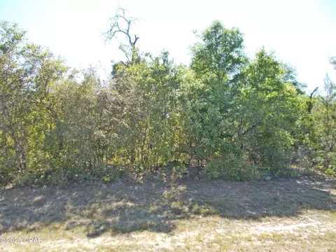 lot9 Firetower Rd #8, Chipley, FL 32428