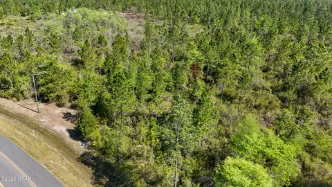 0 NW Miller Rd, Altha, FL 32421 photo 5