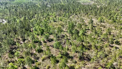 0 NW Miller Rd, Altha, FL 32421 photo 8
