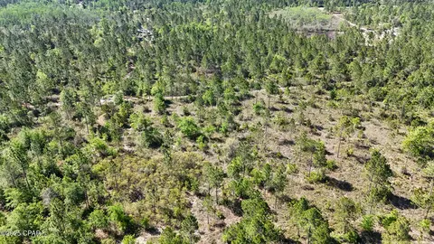 0 NW Miller Rd, Altha, FL 32421 photo 9
