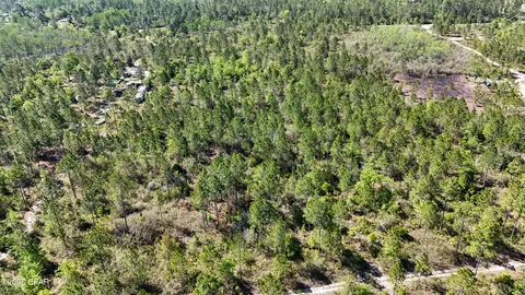 0 NW Miller Rd, Altha, FL 32421 photo 10