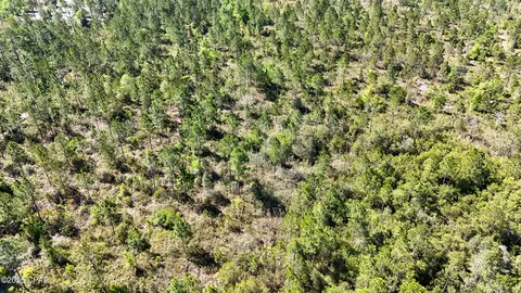 0 NW Miller Rd, Altha, FL 32421 photo 7