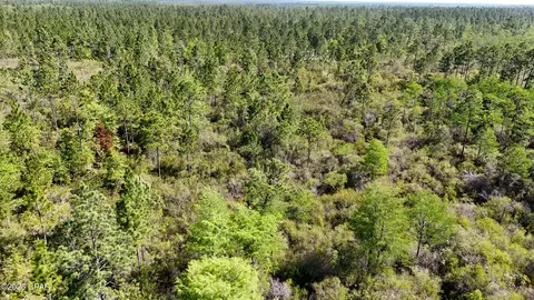 0 NW Miller Rd, Altha, FL 32421 photo 6