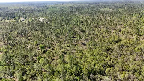 0 NW Miller Rd, Altha, FL 32421 photo 3
