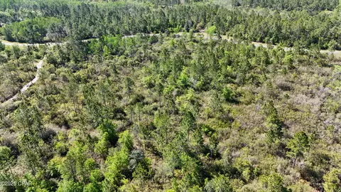 0 NW Miller Rd, Altha, FL 32421 photo 11