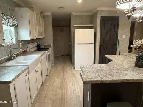 3105 NW Parrish Ave, Altha, FL 32421 photo 16