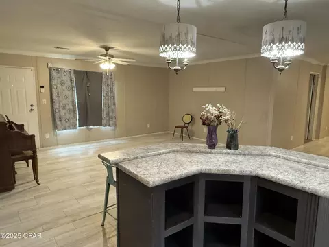 3105 NW Parrish Ave, Altha, FL 32421 photo 20