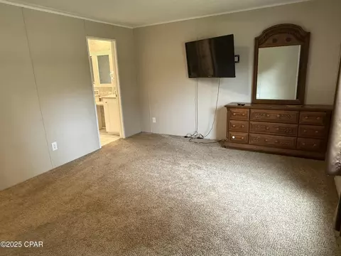 3105 NW Parrish Ave, Altha, FL 32421 photo 19