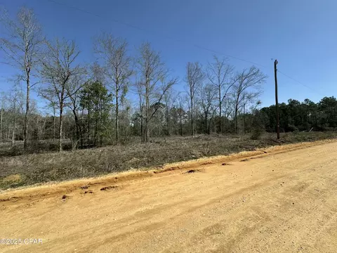 Tract #6410 Davidson Road W, Bonifay, FL 32425