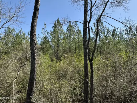 Tract #6417 North Brock Road, Caryville, FL 32427