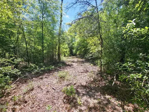lot5 Gardenia, Marianna, FL 32448
