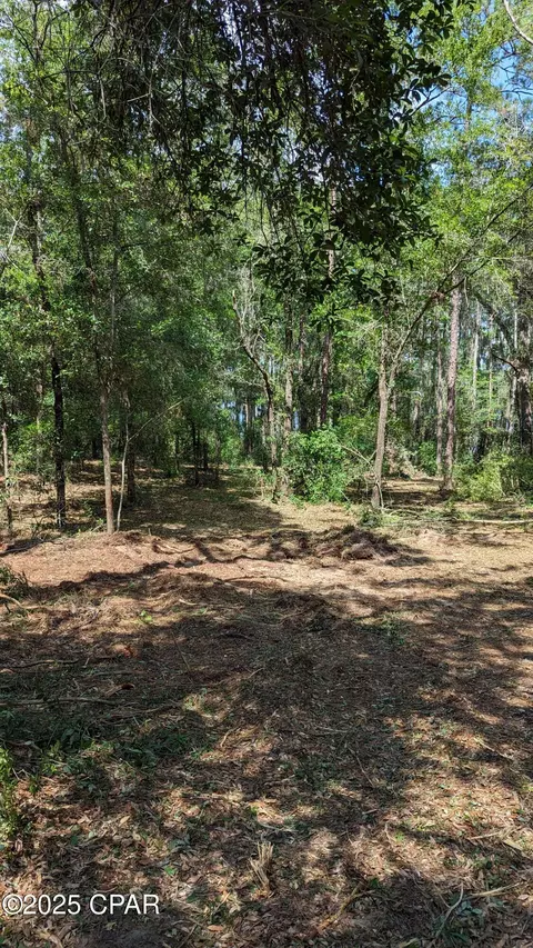 0000 Moss Hill Rd, Chipley, FL 32428 photo 4