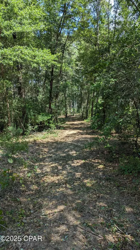 0000 Moss Hill Rd, Chipley, FL 32428 photo 2