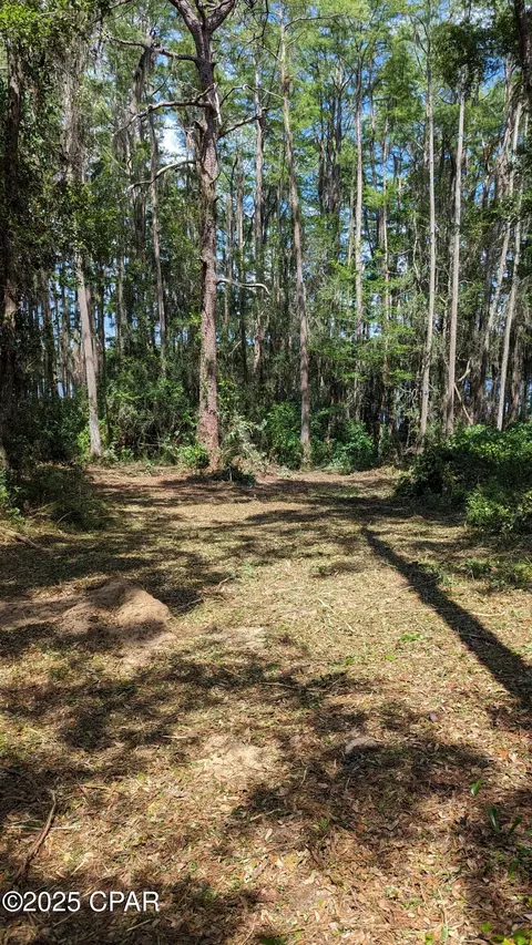 0000 Moss Hill Rd, Chipley, FL 32428 photo 3