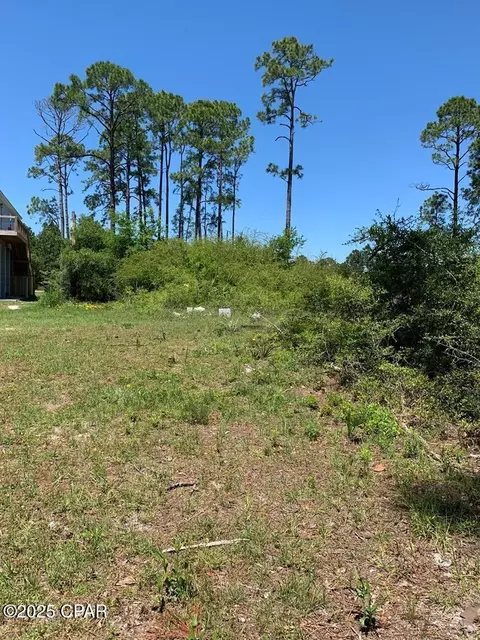 519 Shellys Loop Rd, Carrabelle, FL 32322 photo 11