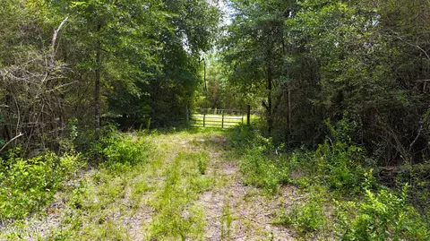 20429 Fettinger Rd, Fountain, FL 32438