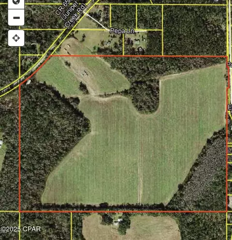 0 Juniper Creek Rd, Quincy, FL 32351 photo 10