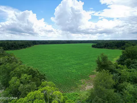 0 Juniper Creek Rd, Quincy, FL 32351 photo 6