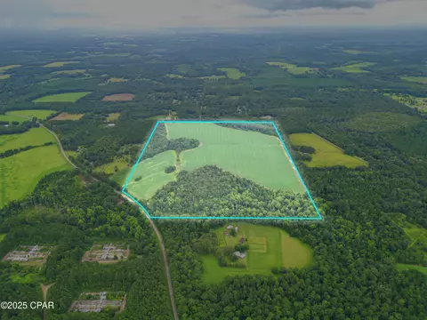 0 Juniper Creek Rd, Quincy, FL 32351 photo 9