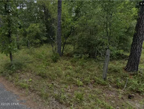 tbd Enterprise Cir, Chipley, FL 32428 photo 4