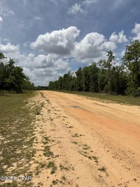 0 Nevada, Alford, FL 32420