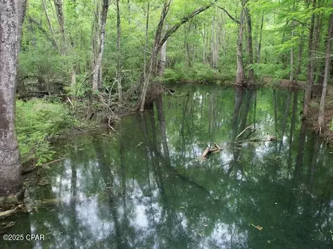 000 79 Hwy, Vernon, FL 32462 photo 5