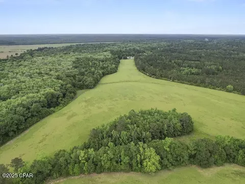 000 79 Hwy, Vernon, FL 32462 photo 9