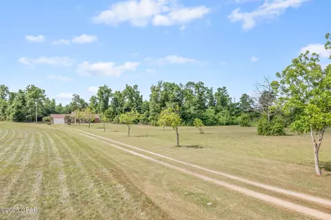 Other - 10367 NW County Road 274, Altha, FL 32421 photo 3 of 25