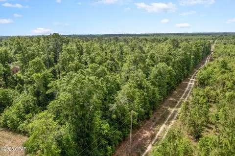Other - 10367 NW County Road 274, Altha, FL 32421 photo 13 of 25