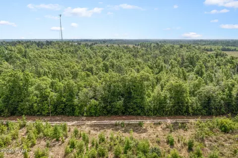 Other - 10367 NW County Road 274, Altha, FL 32421 photo 12 of 25