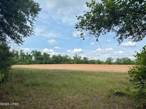 00 Delta Ln, Marianna, FL 32448