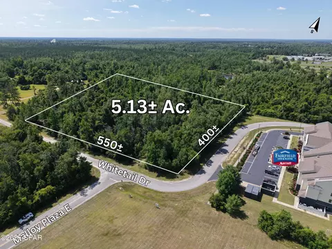 lot24 Whitetail Dr, Marianna, FL 32448