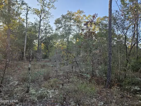 00 Opal Ct, Chipley, FL 32428