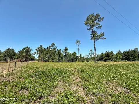 00 Solitaire Trl, Marianna, FL 32446