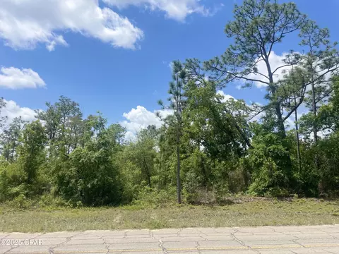 0 Coble Pl, Chipley, FL 32428 photo 6