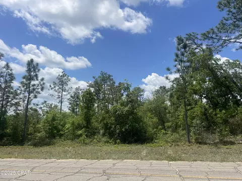 0 Coble Pl, Chipley, FL 32428 photo 5