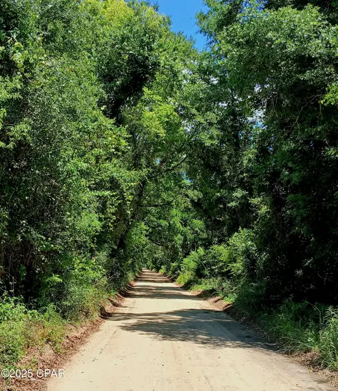 tbd Wolf Pond Rd, Bascom, FL 32423