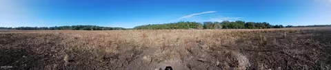 tbd Wolf Pond Rd, Bascom, FL 32423 photo 3