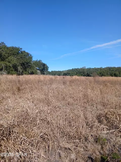 tbd Wolf Pond Rd, Bascom, FL 32423 photo 5