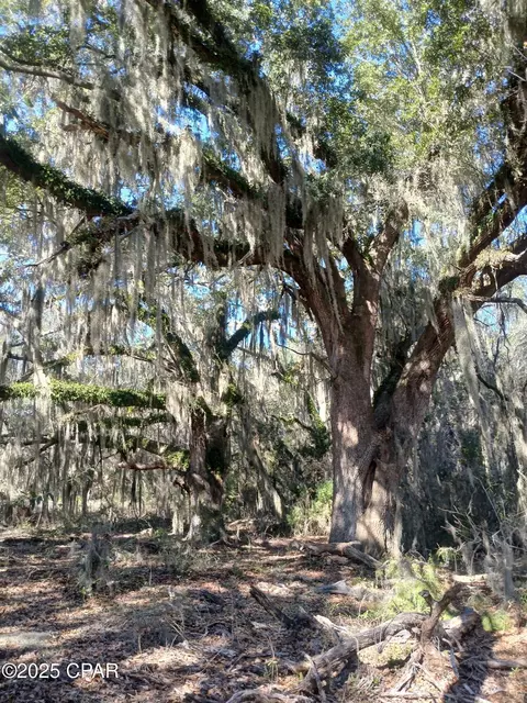 tbd Wolf Pond Rd, Bascom, FL 32423 photo 4