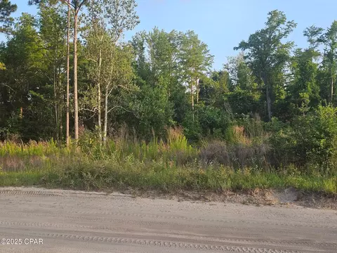 9214 Hwy 2301 Rd, Youngstown, FL 32466