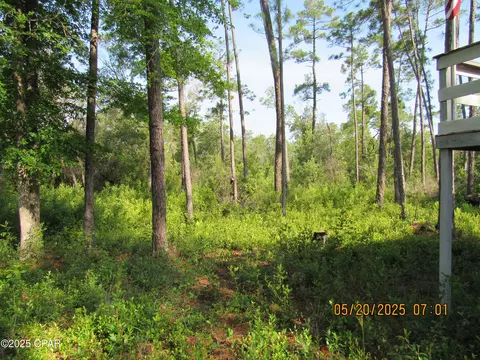 Exterior - tbd Topaz Cir, Chipley, FL 32428 photo 10 of 11