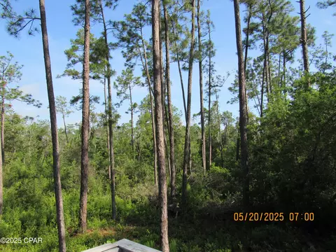 Other - tbd Topaz Cir, Chipley, FL 32428 photo 7 of 9