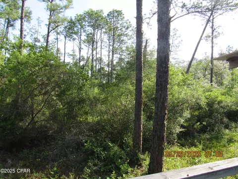 Other - tbd Topaz Cir, Chipley, FL 32428 photo 6 of 9